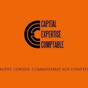 CAPITAL EXPERTISE COMPTABLE CEC AUDIT-CONSEIL-COMMISSARIAT AUX COMPTES