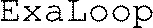 ExaLoop
