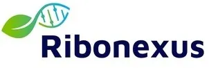 Ribonexus