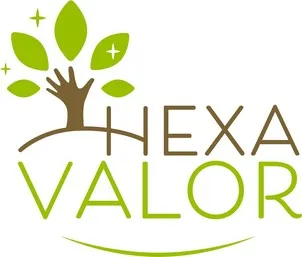 HEXA VALOR