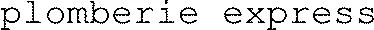 plomberie express