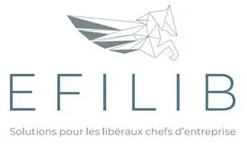 EFILIB Solutions pour les libéraux chefs d'entreprise