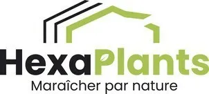 Hexa Plants Maraîcher par nature