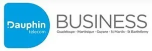 D Dauphin telecom BUSINESS Guadeloupe-Martinique-Guyane-St Martin-St Barthelemy