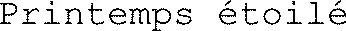 Printemps étoilé