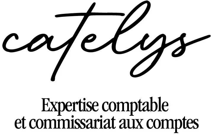 catelys Expertise comptable et commissariat aux comptes