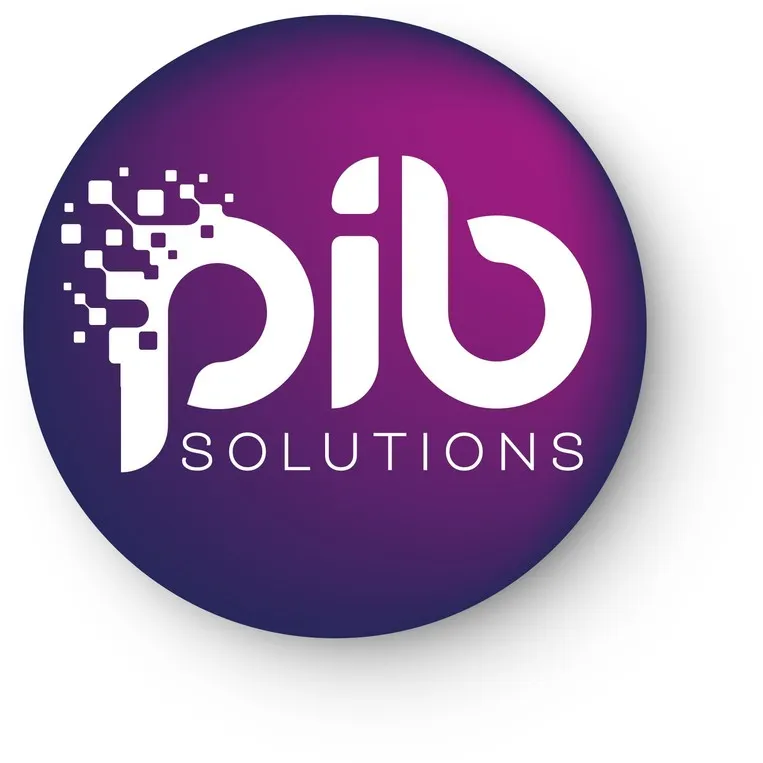 pib SOLUTIONS