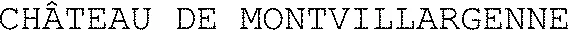 CHÂTEAU DE MONTVILLARGENNE