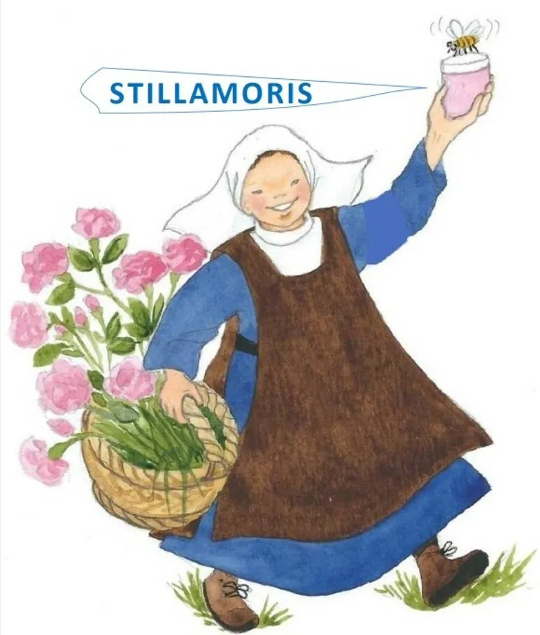 STILLAMORIS
