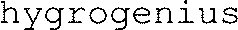 hygrogenius