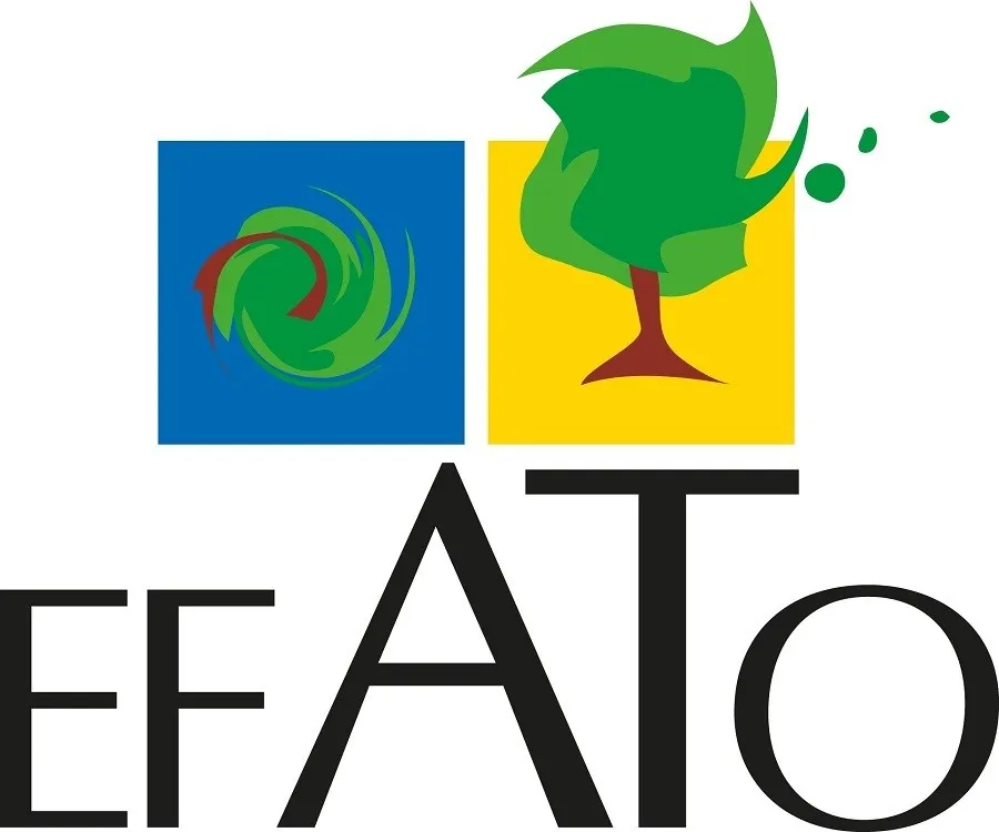EFATO