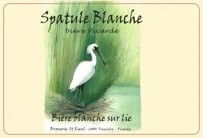Spatule Blanche bière Picarde Bière blanche sur lie