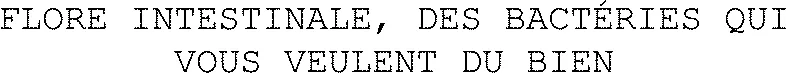 FLORE INTESTINALE, DES BACTÉRIES QUI VOUS VEULENT DU BIEN