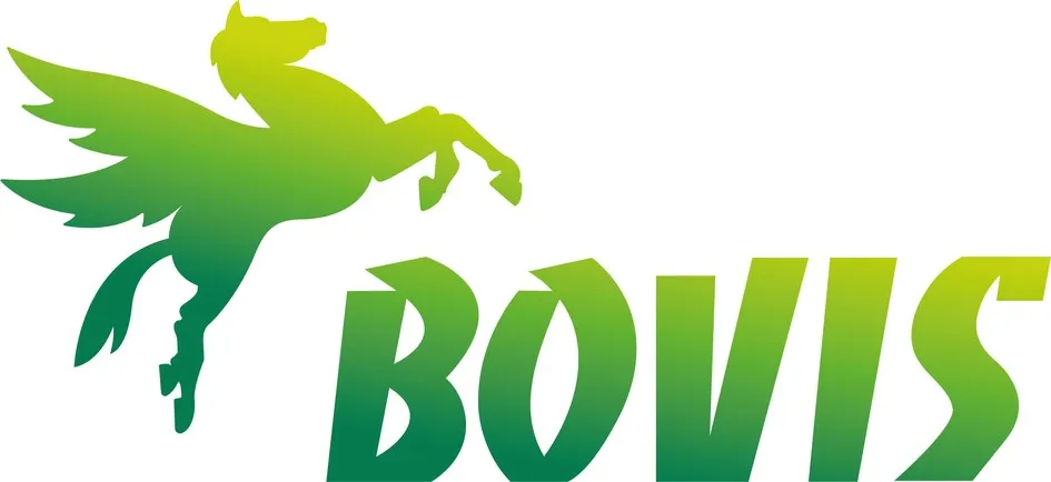 BOVIS