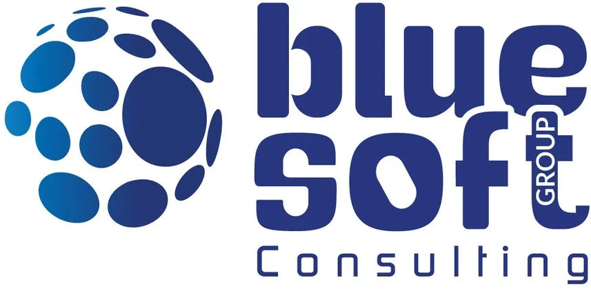 blue soft group Consulting