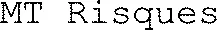 MT Risques
