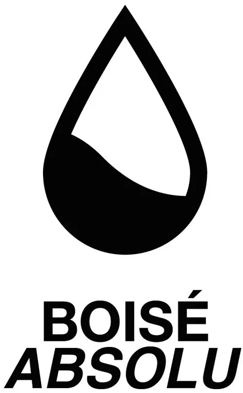 BOISE ABSOLU