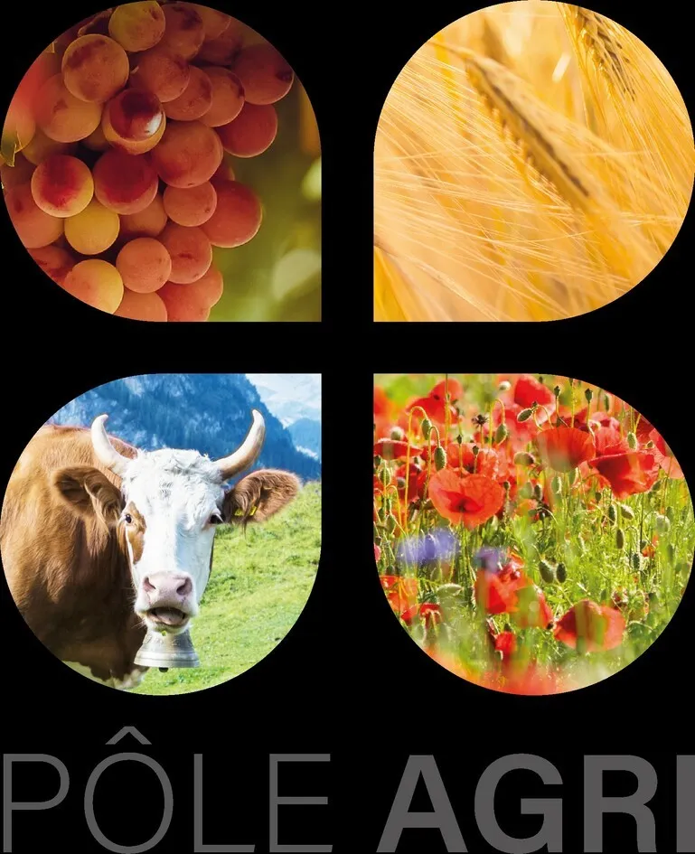 PÔLE AGRI