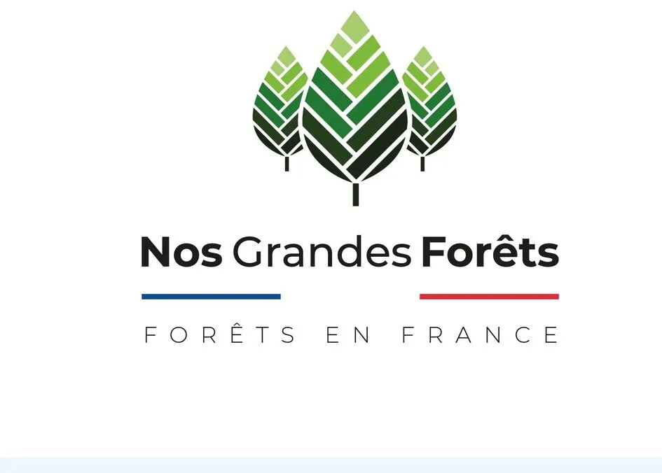 Nos Grandes Forêts FORÊTS EN FRANCE