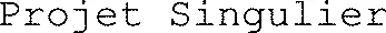 Projet Singulier