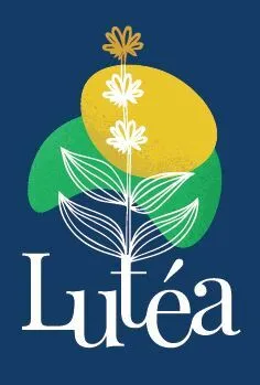 Lutéa