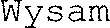 Wysam
