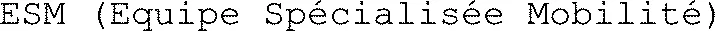 ESM (Equipe Spécialisée Mobilité)