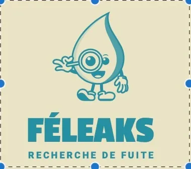 Féleaks  recherche de fuite