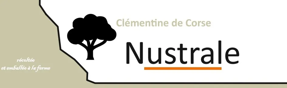 Clémentine de Corse Nustrale récoltée et emballée à la ferme