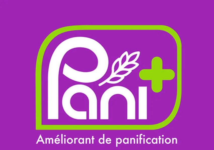 Pani Améliorant de panification