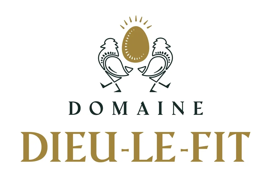 DOMAINE DIEU-LE-FIT
