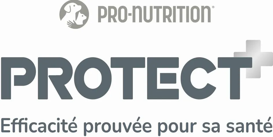 PRO-NUTRITION PROTECT+ Efficacité prouvée pour sa santé