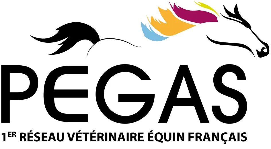 PEGAS 1er réseau vétérinaire équin français