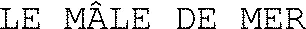 LE MÂLE DE MER