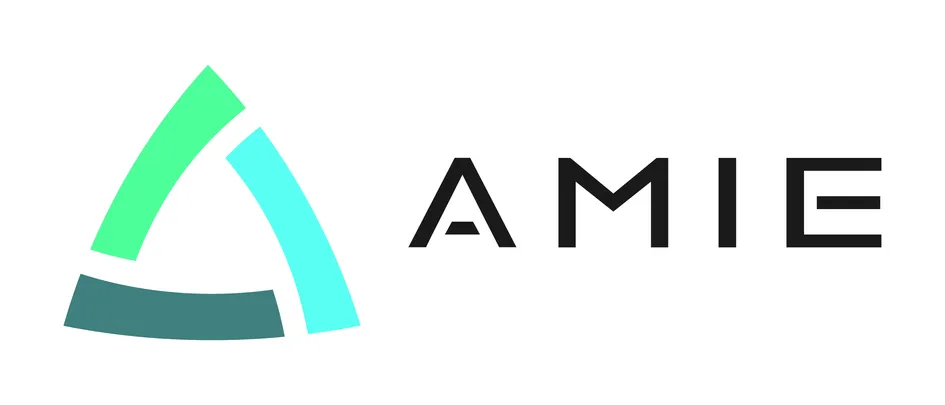  AMIE