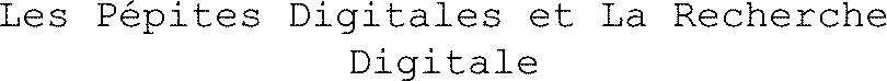 Les Pépites Digitales et La Recherche Digitale