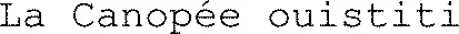La Canopée ouistiti