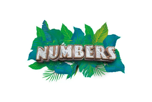 NUMBERS