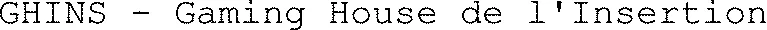 GHINS - Gaming House de l'Insertion