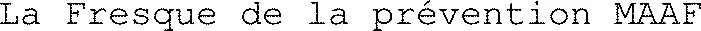 La Fresque de la prévention MAAF