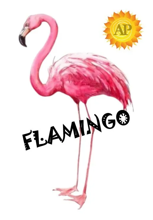 AP FLAMINGO