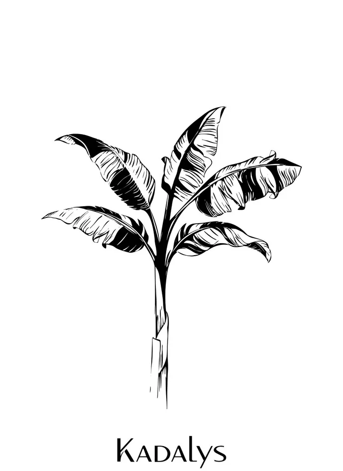 KADALYS