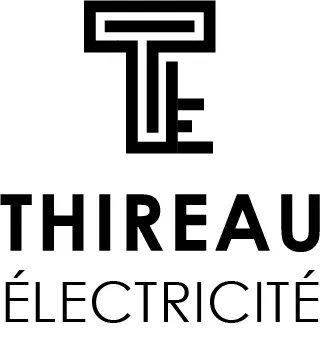 TE THIREAU ELECTRICITE