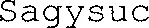 Sagysuc