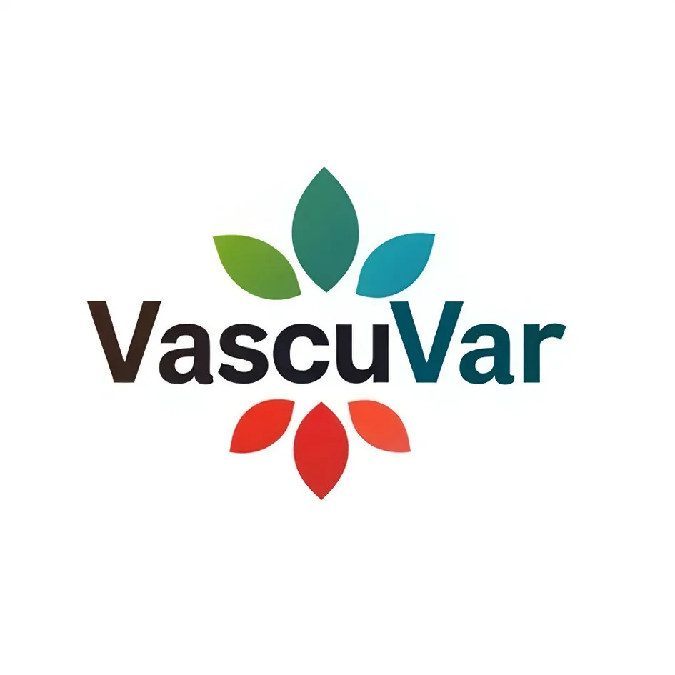VascuVar