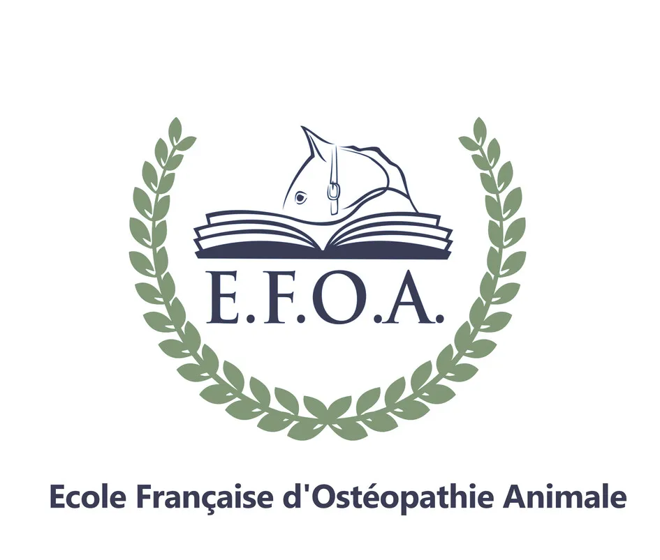 E.F.O.A.Ecole Française d'Ostéopathie Animale