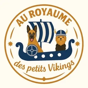 AU ROYAUME des petits Vikings