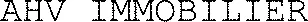 AHV IMMOBILIER