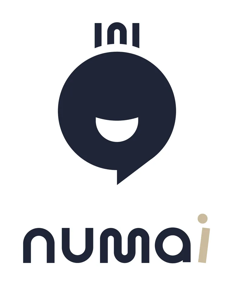 INI NUMAI