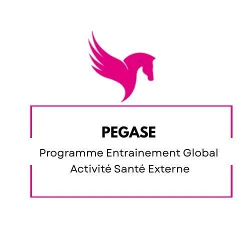 PEGASE Programme Entrainement Global Activité Santé Externe
